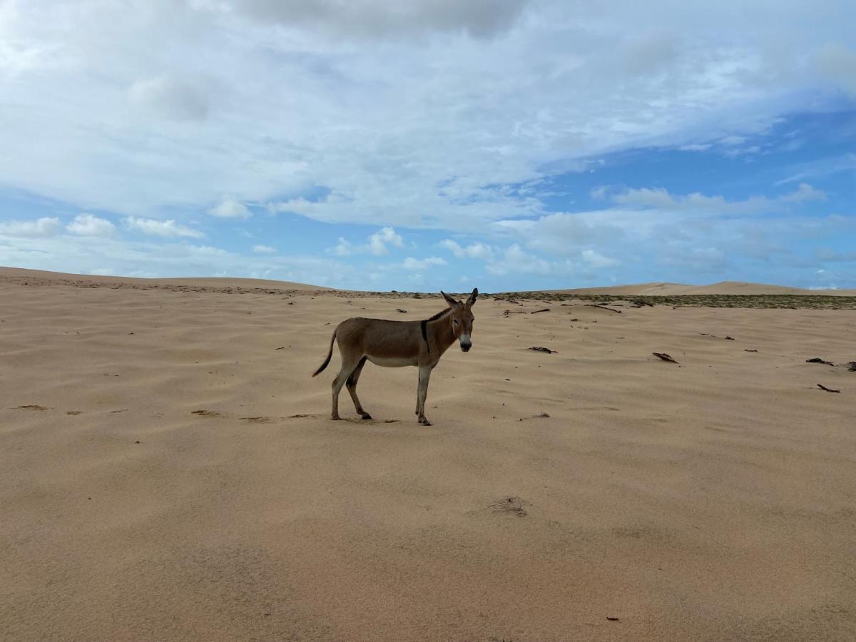 Casa Jasmin Villa Jijoca de Jericoacoara Luaran gambar